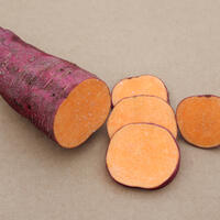 Patate douce Sugaroot� 