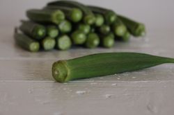 Graines de gombo, Abelmoschus esculentus, Lubera