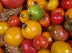 Heirloom, Tomates anciennes Photo de couverture pixabay