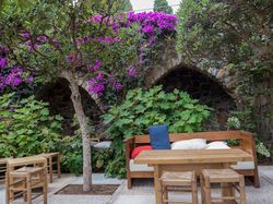 Acheter des plantes m&eacute;diterran&eacute;ennes jardinerie Lubera