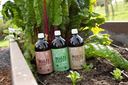 Fertilisants pour plantes &agrave; acheter, boutique Lubera