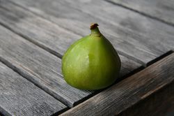 Figues bif&egrave;res Twotimer, Lubera