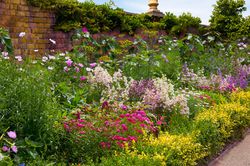 parterre de fleurs vivaces, Lubera