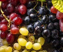 Raisins Vigne Lubera
