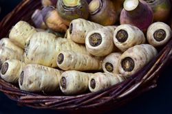Persil tub&eacute;reux, Petroselinum crispum subsp. tuberosum