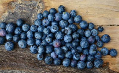 Heidelbeeren Blaubeeren - was ist der Unterschied?