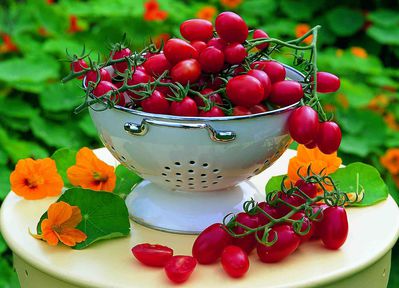 Acheter des tomates cerises, des l&eacute;gumes snack, Lubera