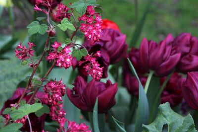 photo nach Farben