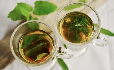 Acheter du th&eacute; aux herbes, des tisanes, des plantes pour infusion, plantes &agrave; infusion