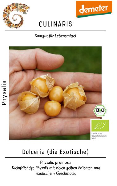 Physalis pruinosa 'Dulceria' BIO
