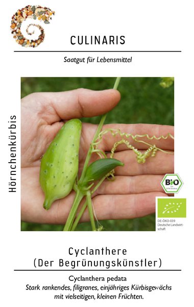 Cyclanthere, H�rnchenk�rbis BIO