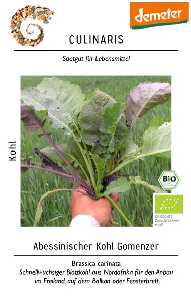 Abessinischer Kohl Gomenzer