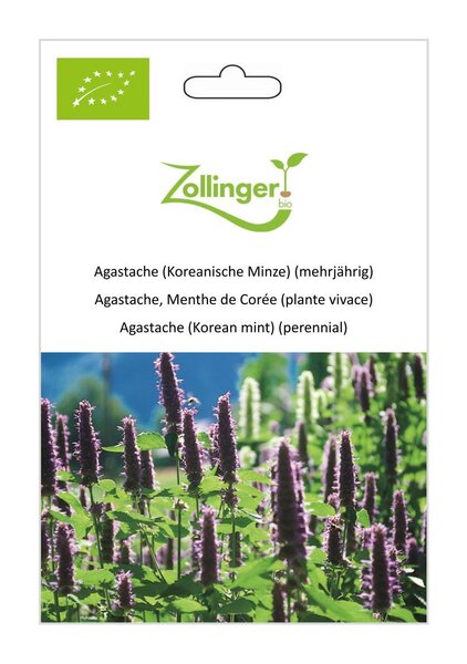 Agastache (Koreanische Minze) (mehrj�hrig)