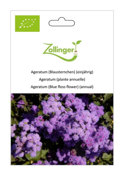 Leberbalsam (Ageratum)