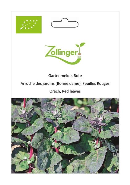 Gartenmelde, Rote