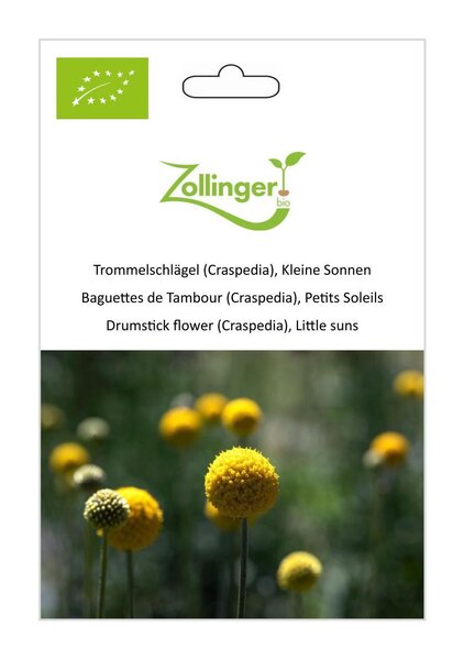 Trommelschl�gel (Craspedia), Kleine Sonnen