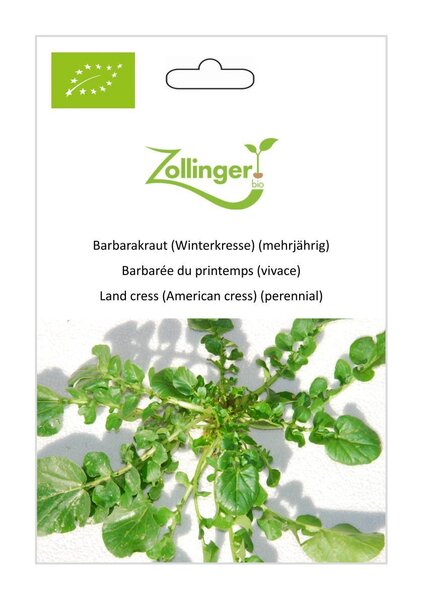 Barbarakraut (Winterkresse) (mehrj�hrig)