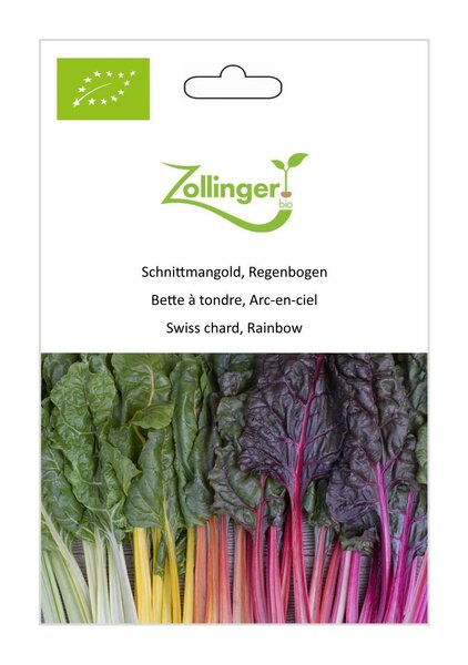 Schnittmangold, Regenbogen