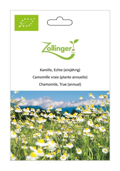 Kamille, Echte (einj�hrig)