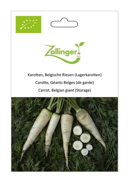 Karotte, Belgische Riesen (Lagerkarotten)