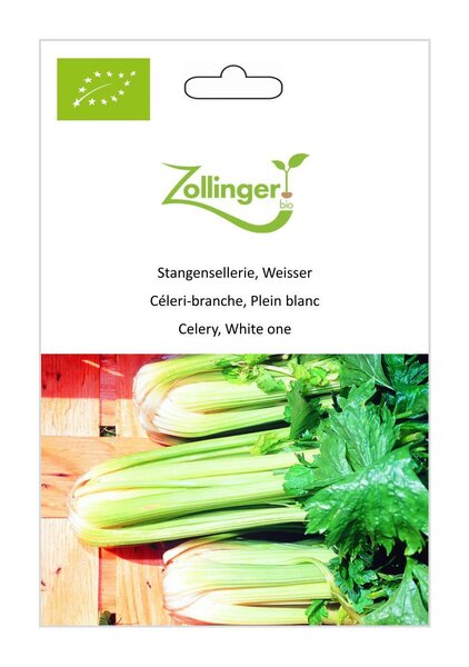 Stangensellerie, Weisser