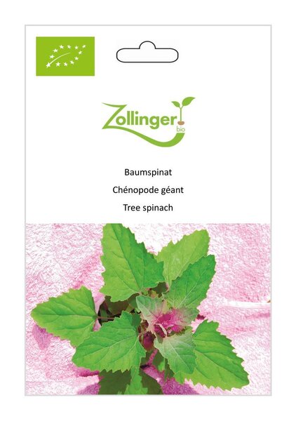 Baumspinat