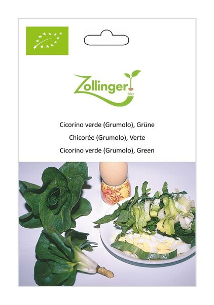 Cicorino verde (Grumolo)