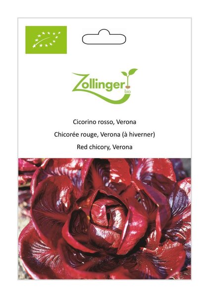 Cicorino rosso, Verona