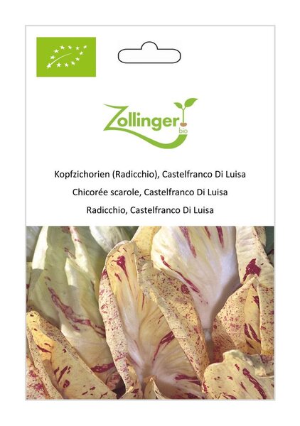 Kopfzichorie (Radicchio), Castelfranco Di Luisa
