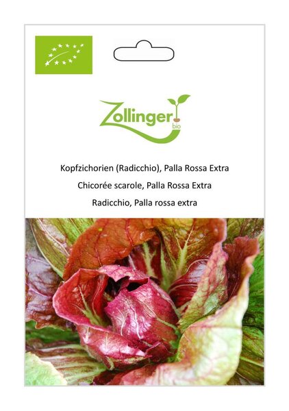 Kopfzichorie (Radicchio), Palla Rossa Extra