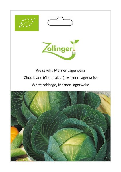 Weisskohl, Marner Lagerweiss