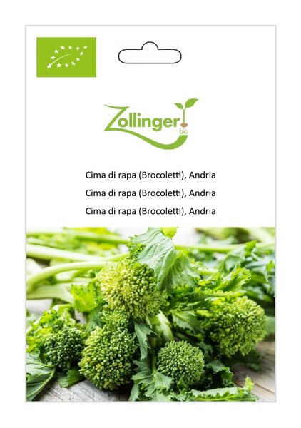 Cima di rapa (Broccoletti), Andria
