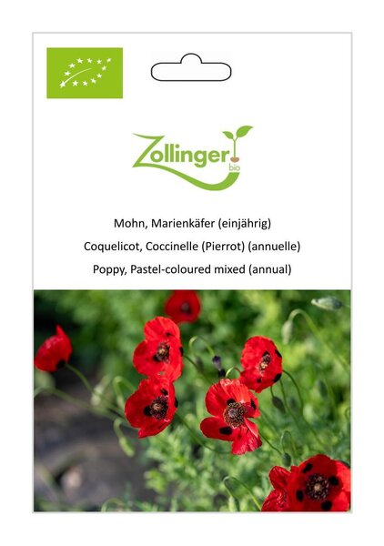 Mohn, Marienk�fer (einj�hrig)