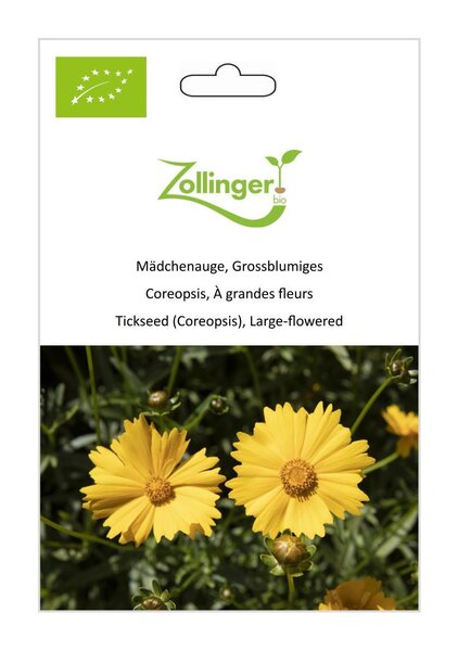 M�dchenauge, Grossblumiges