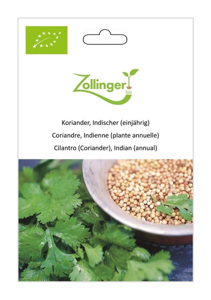 Koriander, Indischer (einj�hrig)