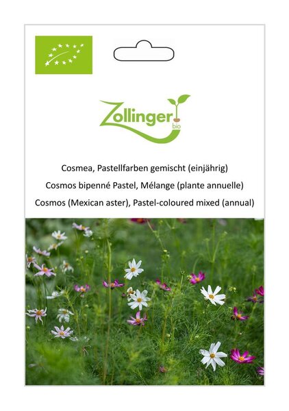 Cosmea, Pastellfarben gemischt (einj�hrig)