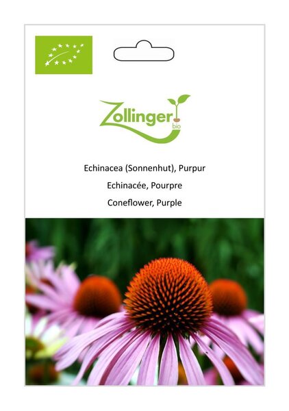 Echinacea (Sonnenhut), Purpur