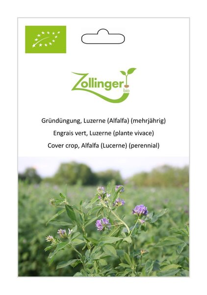 Gr�nd�ngung, Luzerne (Alfalfa) (mehrj�hrig)