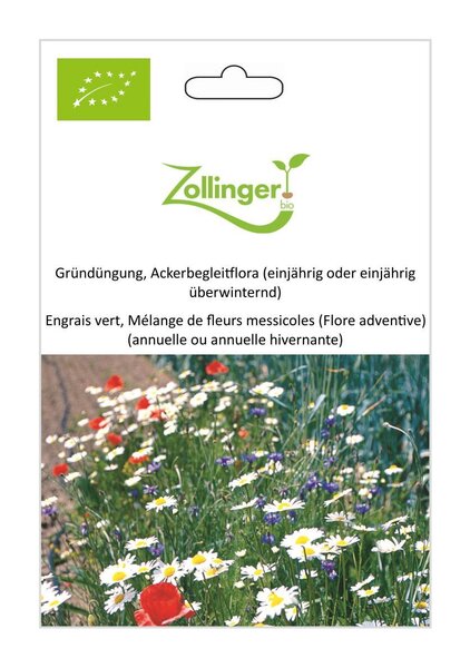 Gr�nd�ngung, Ackerbegleitflora (einj�hrig oder einj�hrig �berwinternd)