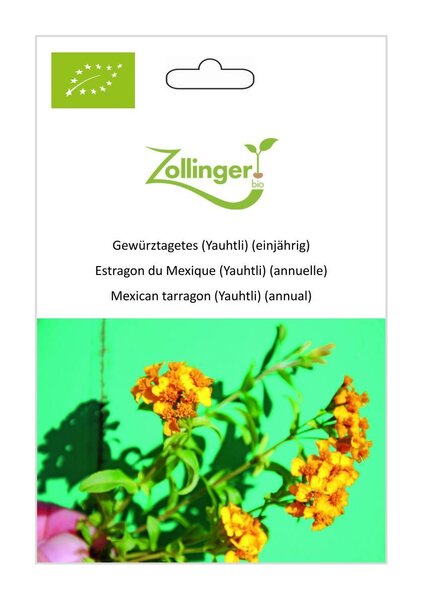 Gew�rztagetes (Yauhtli) (einj�hrig)