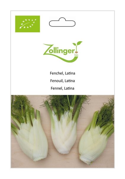 Fenchel, Latina