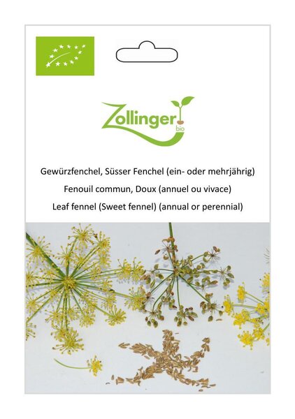 Gew�rzfenchel, S�sser Fenchel (ein- oder mehrj�hrig)