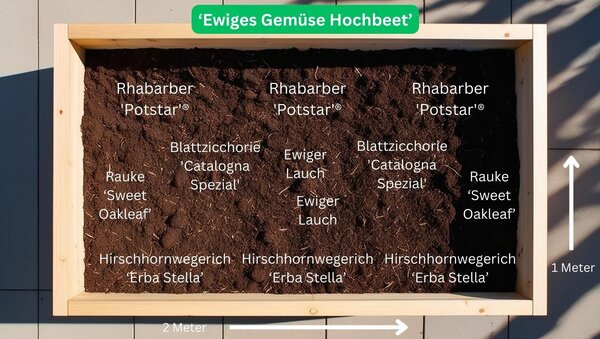 Set Gemüsepflanzen Bundle Gemüsebeet ?Ratatouill Hochbeet? Pflanzplan