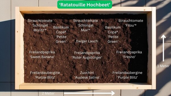 Set Gem&uuml;sebeet ?Ratatouille Hochbeet? Pflanzplan