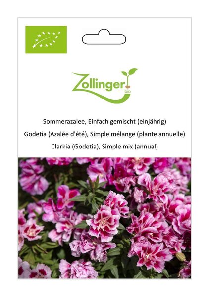 Sommerazalee, Einfach gemischt (einj�hrig)