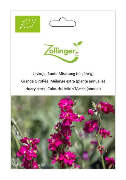 Levkoje, Bunte Mischung (einj�hrig)