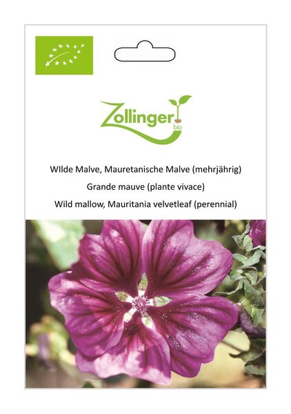 WIlde Malve, Mauretanische Malve (mehrj�hrig)