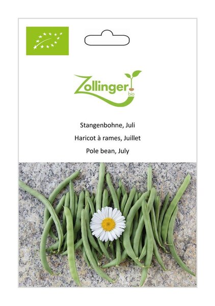 Stangenbohne, Juli