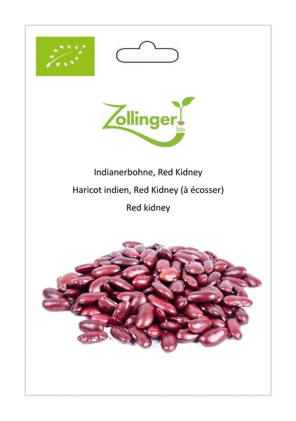 Buschbohne (Indianerbohne), Red Kidney