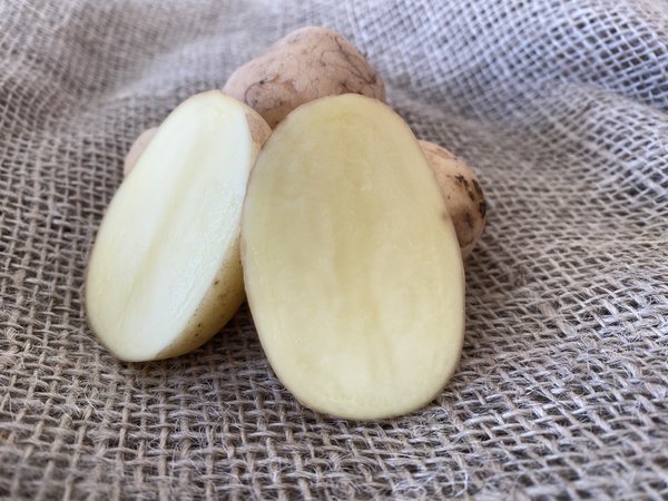 Pomme de terre Acoustic, en tranches, planter des pommes de terre en pot
